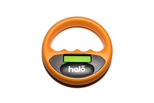 Lugemisseadme Halo Scanner